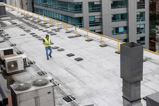 Best Roof Maintenance and Cleaning  in Paden City, WV